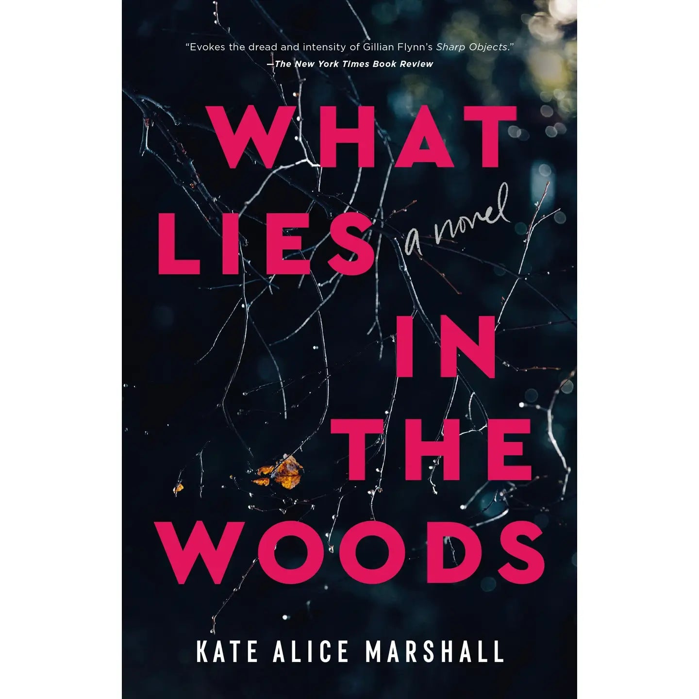 What Lies In The Woods