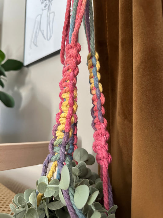 Large Rainbow Plant Hanger