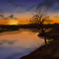 Art Prints