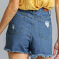 Freebird Denim Shorts