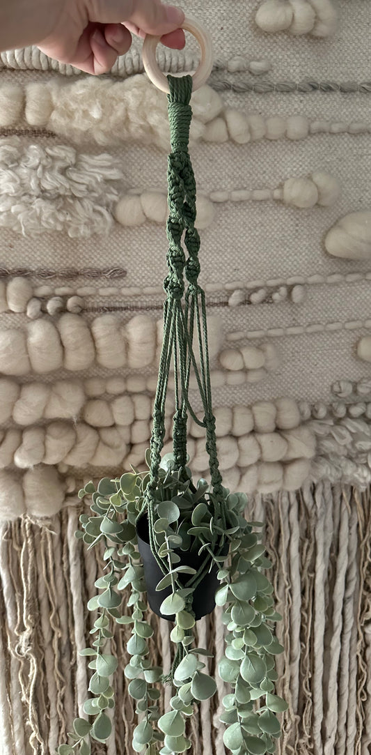 Small Plant Hanger