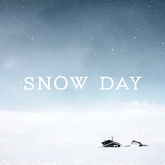 Snow Day Wax Melts
