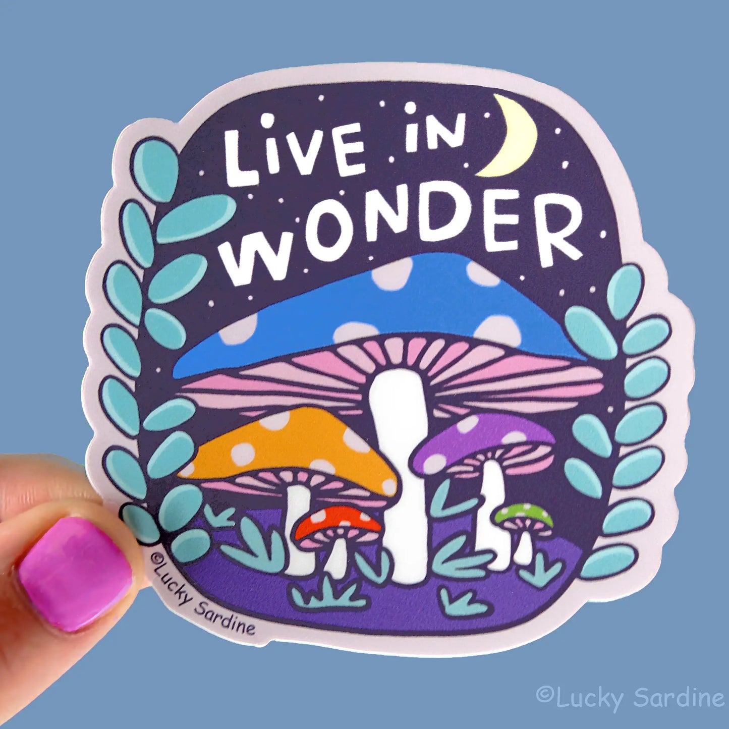Live In Wonder Sticker