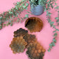 Honey comb coasters | Honey Bee | Resin | Home Decor | Housewarming Gift